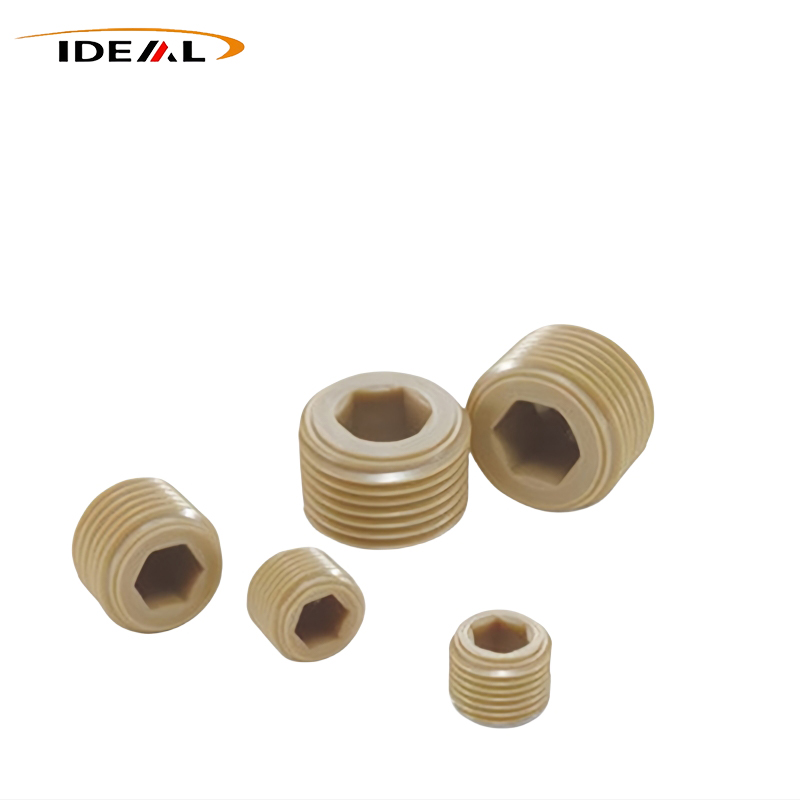 PEEK Socket Head Cap Torlojuak